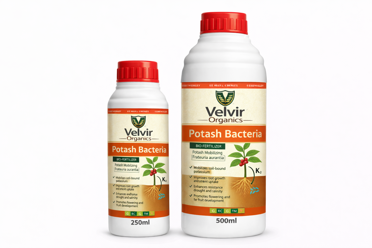 Potash bacteria