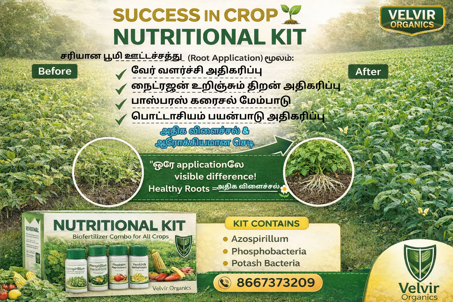 Nutritional Kit ( Small )