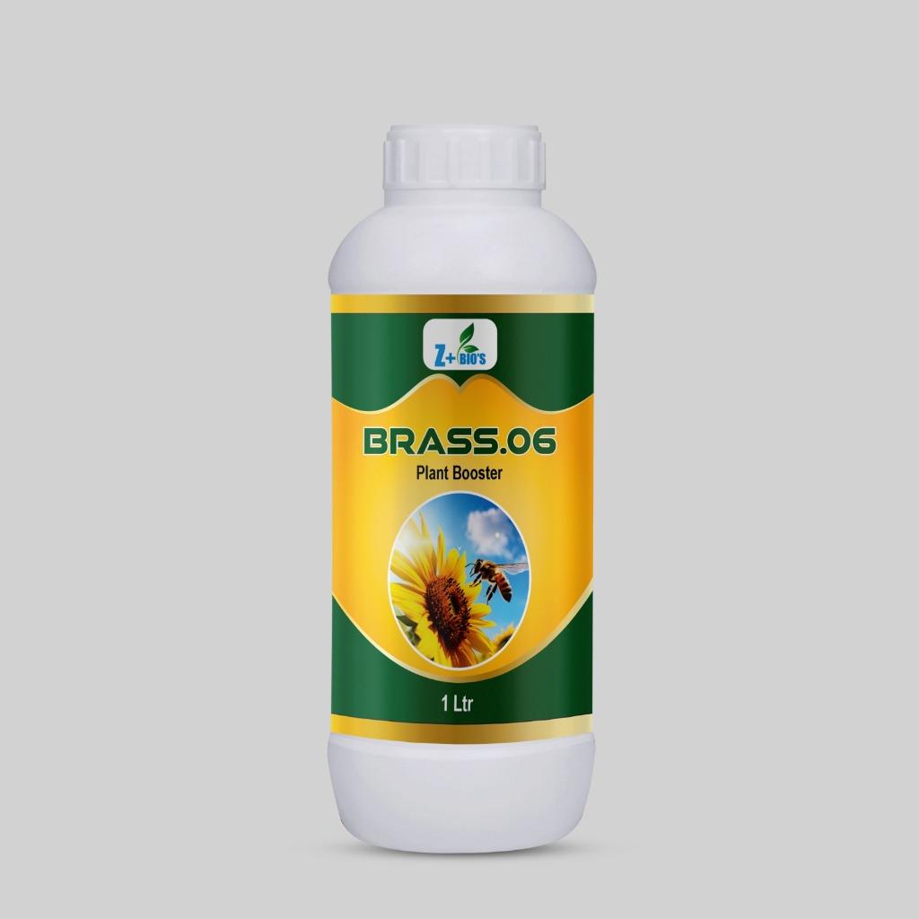 BRASS.06