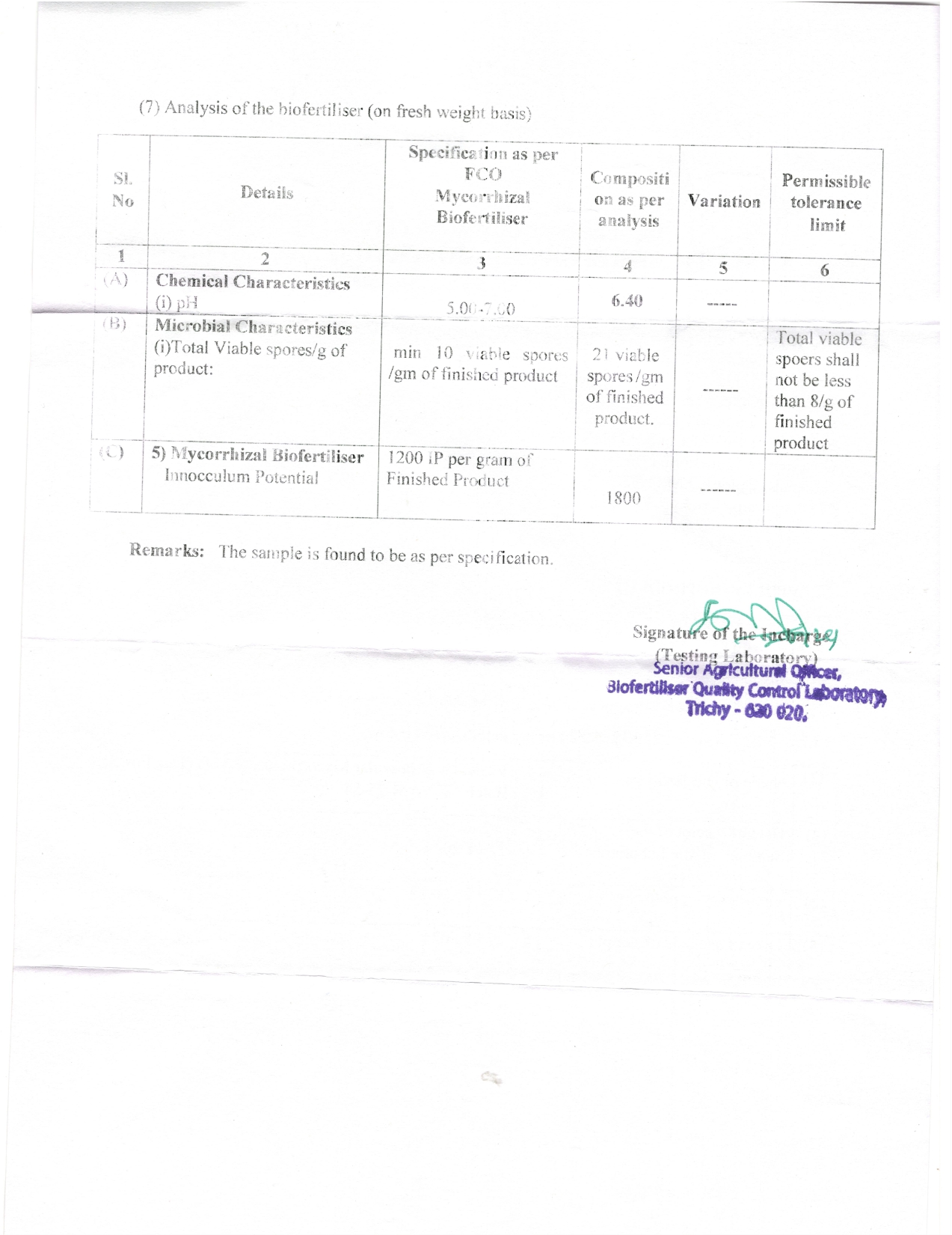 grade-wise-analysis-report-10