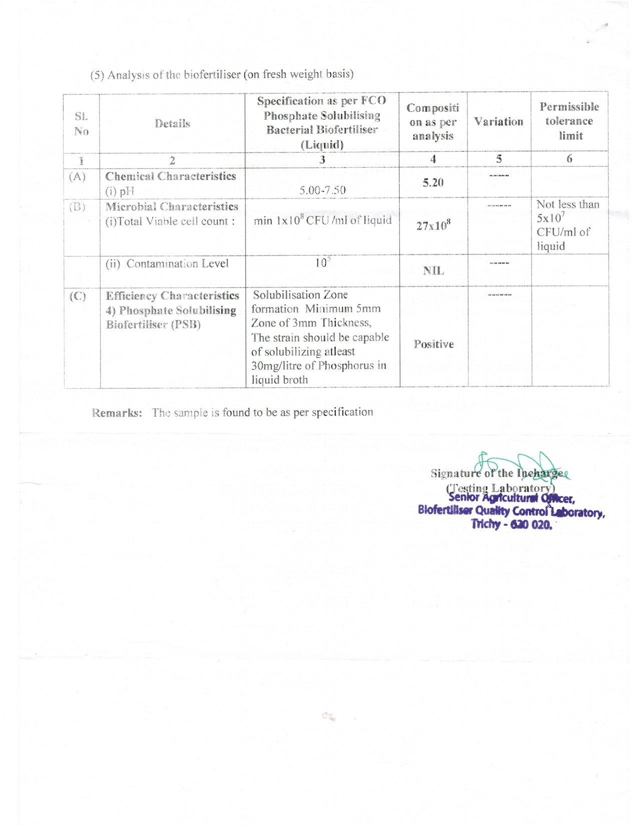 grade-wise-analysis-report-12