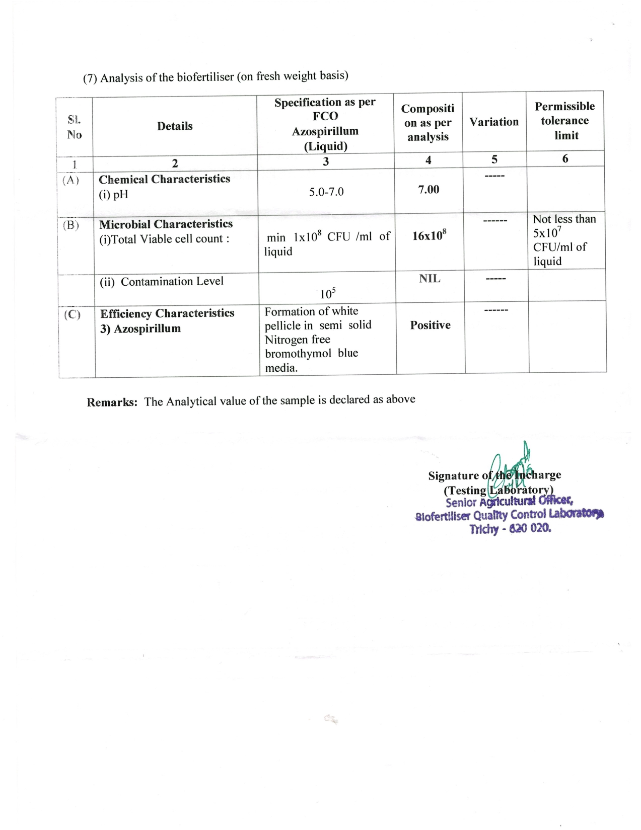 grade-wise-analysis-report-4